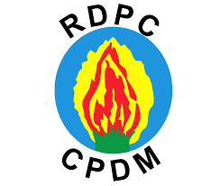 CPDM LOGO