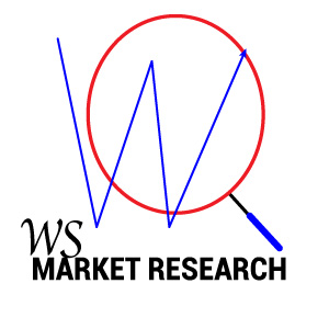 ws market research logo